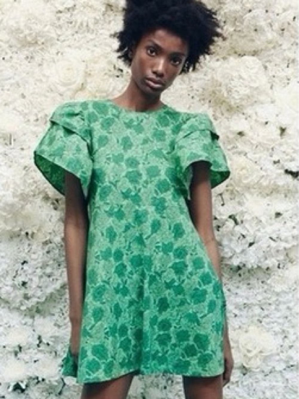 ZARA | Ruffle Flutter Sleeve Mini Shift Dress - Picture 12 of 16